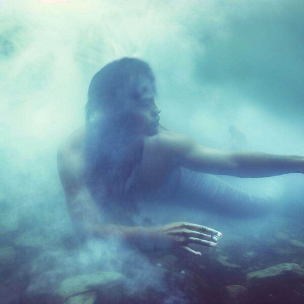 Artists Impression Of The Michigan Merman
