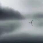 Picture of Bessie Of Lake Erie (Artists Impression)