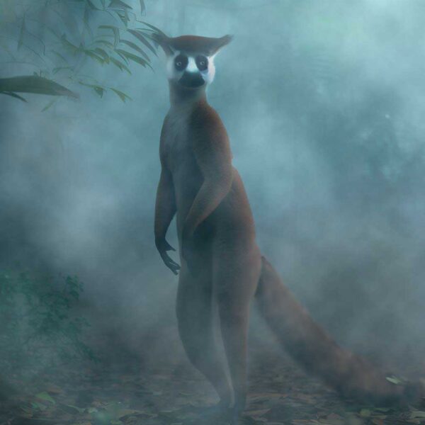 Artists Interpretation of a Kidoky