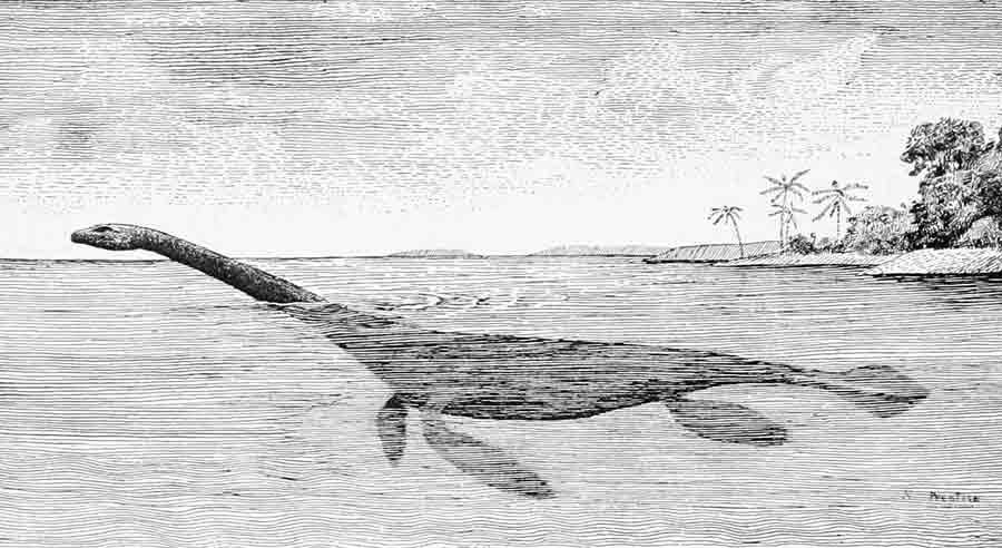 Plesiosaur Image